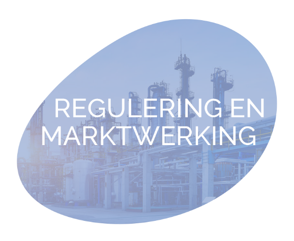 Regulering en Marktwerking